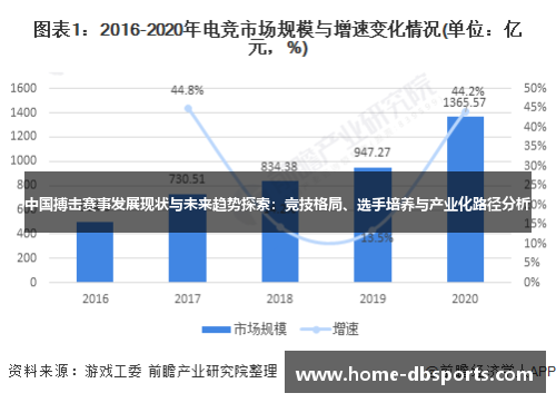 中国搏击赛事发展现状与未来趋势探索：竞技格局、选手培养与产业化路径分析